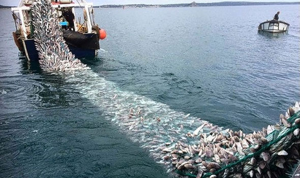 So long, and thanks for all the fish – and the awful Brexit deal